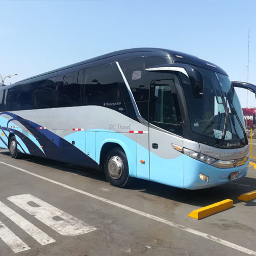 Galería Mini Bus