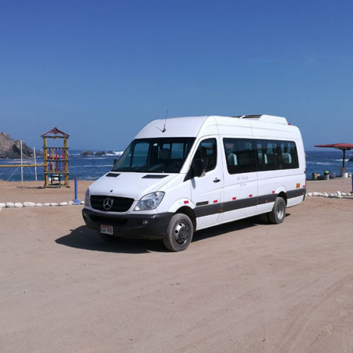 Mini Bus Ejecutivo