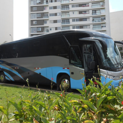 Galería Mini Bus